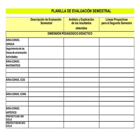 Planilla de evaluación semestral 2017
