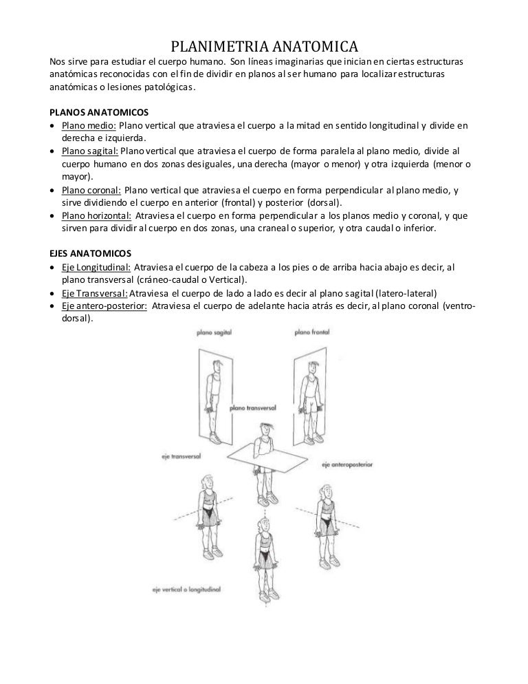 Tipos de ejes anatomicos