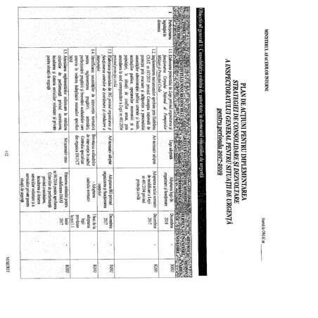 Plan implementare activitati  igsu