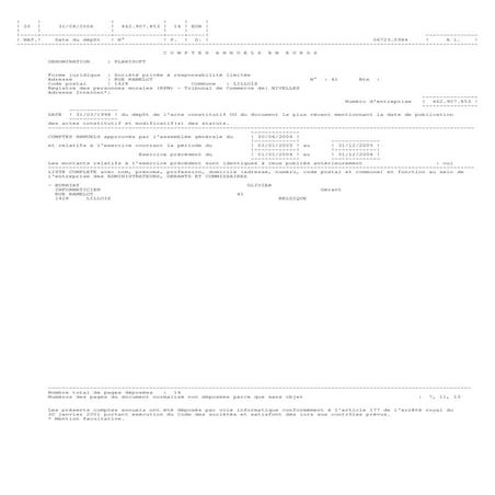 Planisoft comptes annuels et annexes au 31 decembre 2005