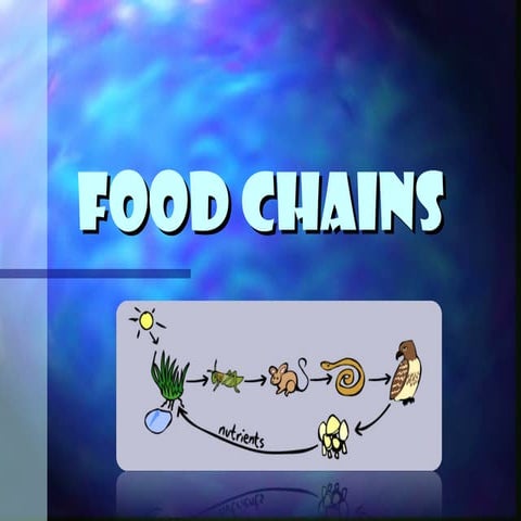 Plankton Presentation