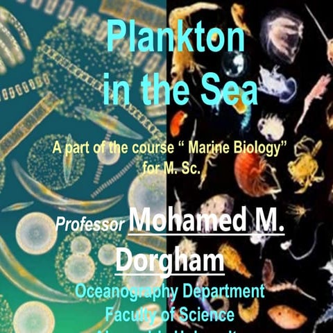Plankton in the Sea.ppt