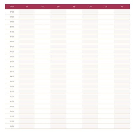 Weekly Time Schedule Overview with Hourly Breakdown | PDF