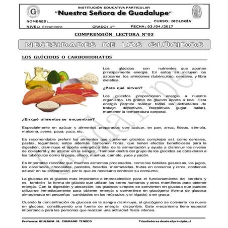 Plan  lector   los  glúcidos