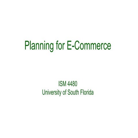 Planning for E-Commerce ISM 4480 