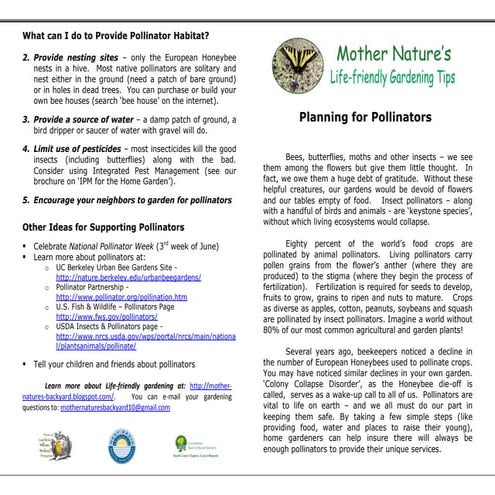 Pollinators and their types | PPTX