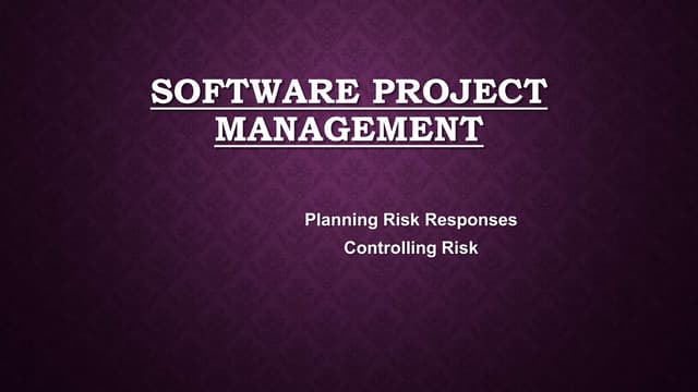 Planning risk responses and Risk Controlling