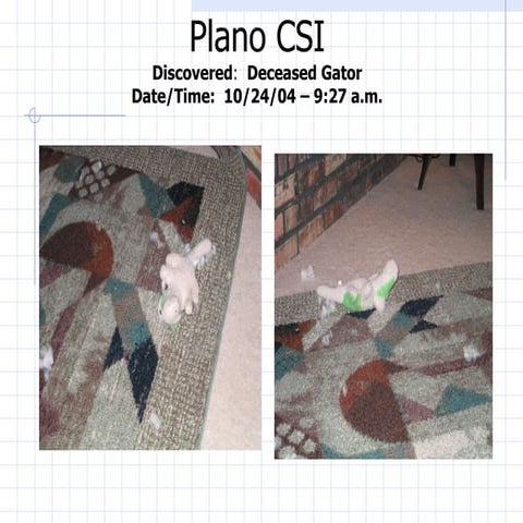 Plano Csi