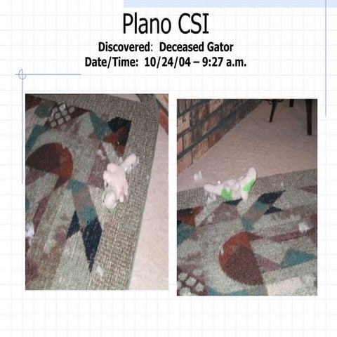Plano Csi