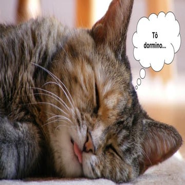 Rio Info 2015 - Plano de stock options o que fazer e o que não fazer - Marcel...