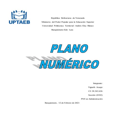 Plano numerico