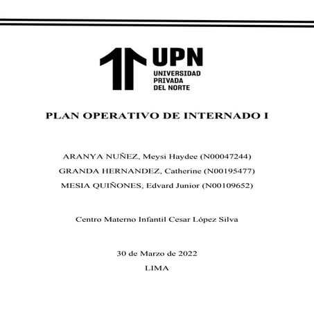 PLAN OPERATIVO Mey.docx