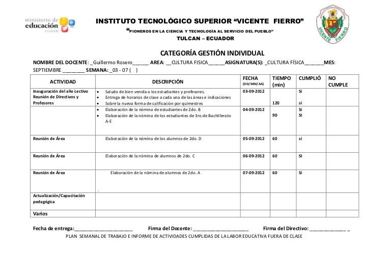 Plan de trabajo formato word
