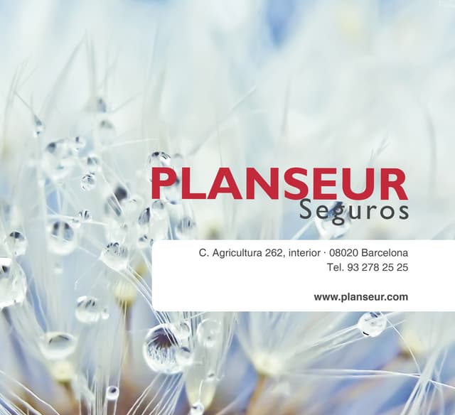 Planseur Correduría de Seguros