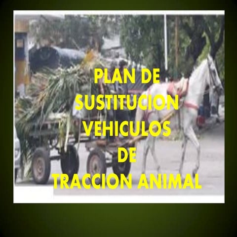 Plan sustitucion vehiculos de traccion animal bogota