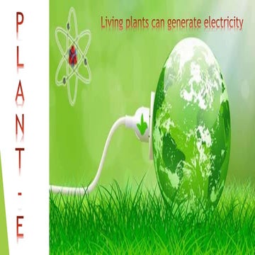 Plant e1