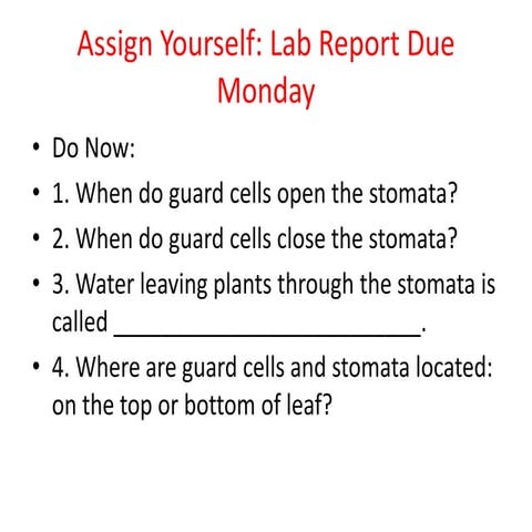 Plant growth and tropism