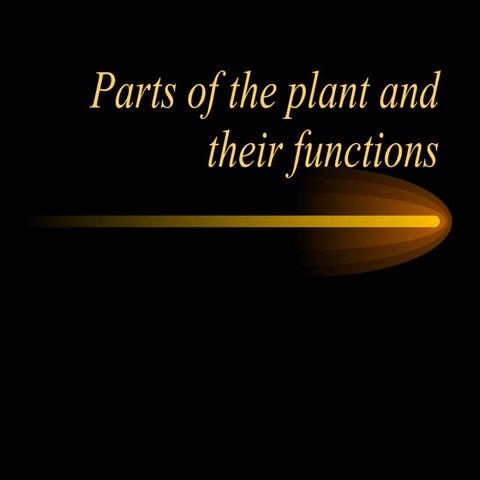 Plant Parts2