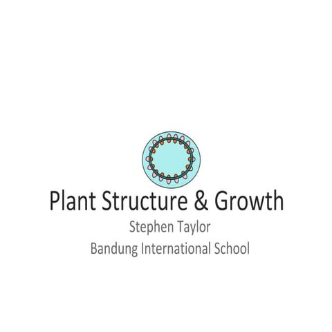 Plant Structure and Growth (AHL) | PDF