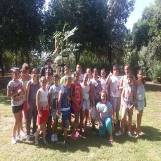 PLANTACIÓN DE UN ÁRBOL