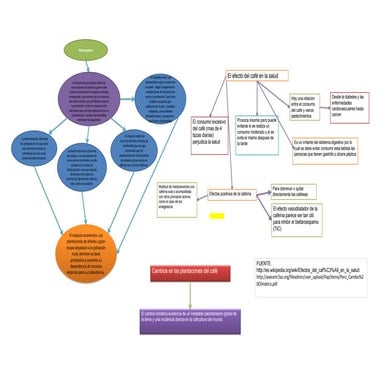 Plantaciones, monocultivo y efectos del cafe