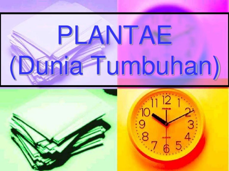 Plantae dunia-tumbuhan