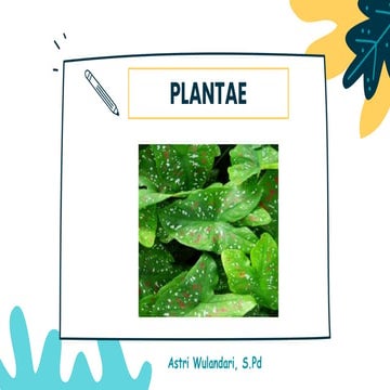 Materi Plantae kelas 10 rika elvana.pptx