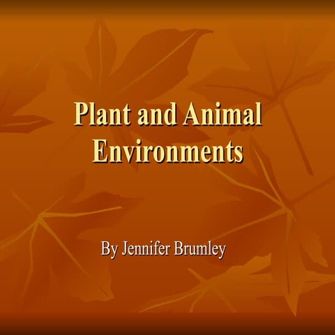 Plant And Animal Environments