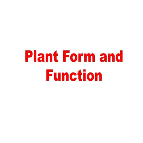 Plant and animal form and function