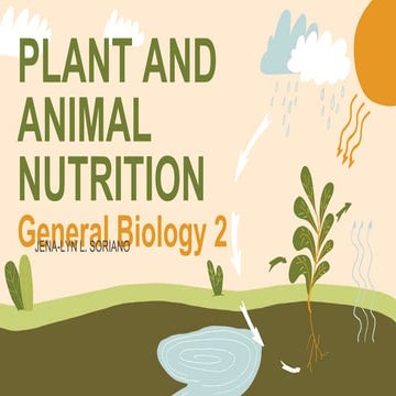 Plant and Animal Nutrition.pptx