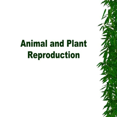 Plant and Animal Reproduction.ppt