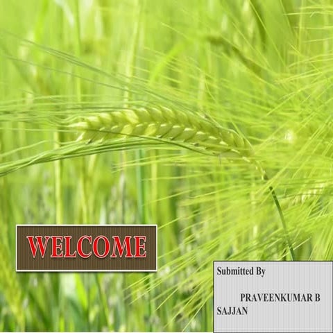 Plant and growth development in agronomy