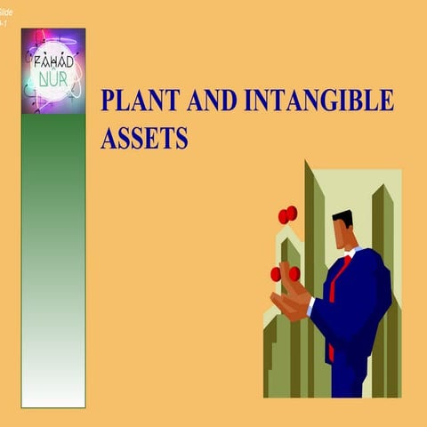 PLANT AND INTANGIBLE ASSETS