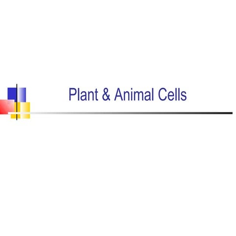 Plant & animal cells