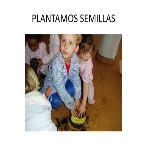 Plantar semillas