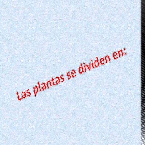 Plantas angiospermas y gimnospermas