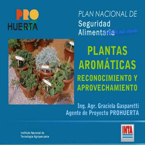 Plantas aromáticas   cordoba