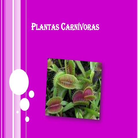 Plantas carnivoras