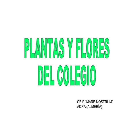 Plantas cole 2015 con nombres1