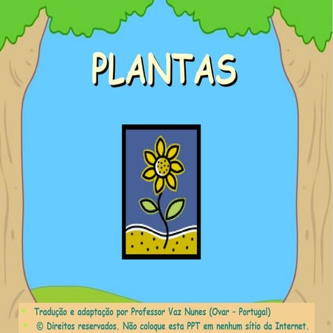 Plantas crescer