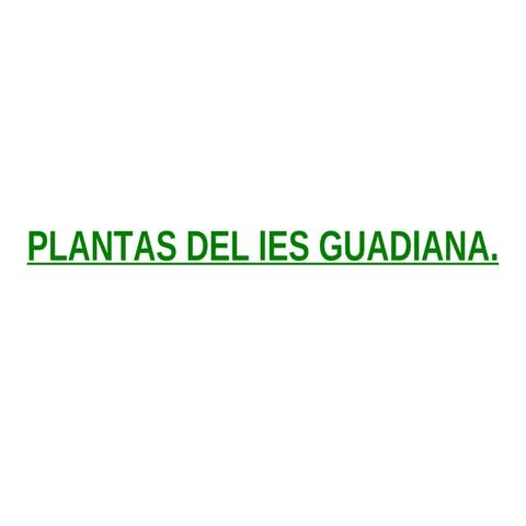 Plantas del ies