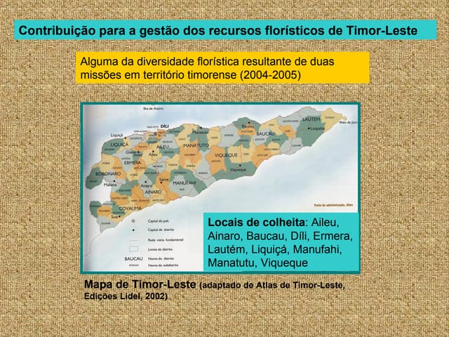 Plantas De Timor   Leste