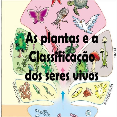 Plantas e classificação do seres vivos | PPT