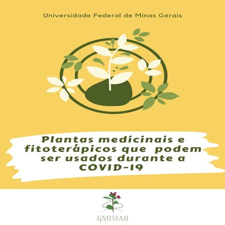 Plantas medicinais para covid 