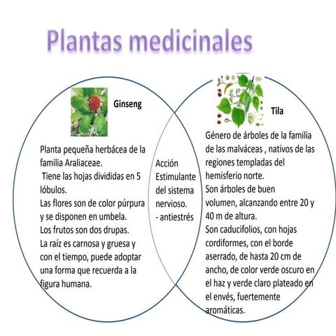 Plantas Medicinales