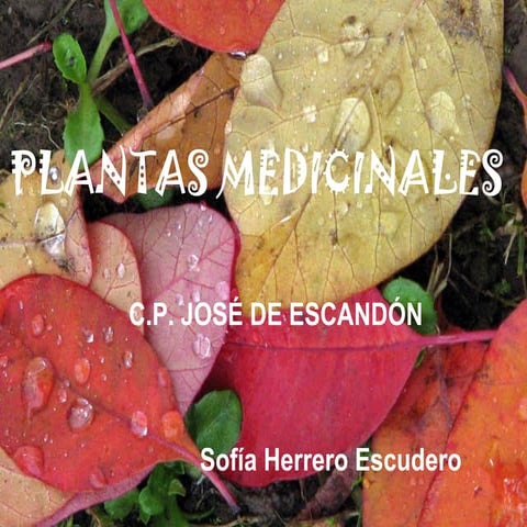 Plantas medicinales
