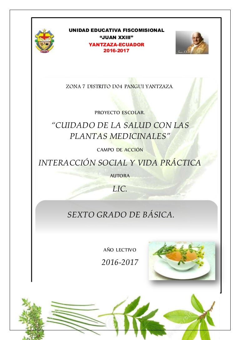 hierbas para sanar diabetes en niños