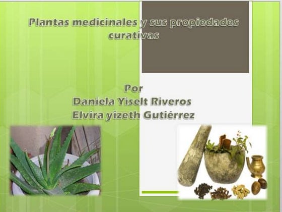 Resultado de imagen de Aloe Vera: Respuesta de la Naturaleza a Herpes Labial Brotes infografías