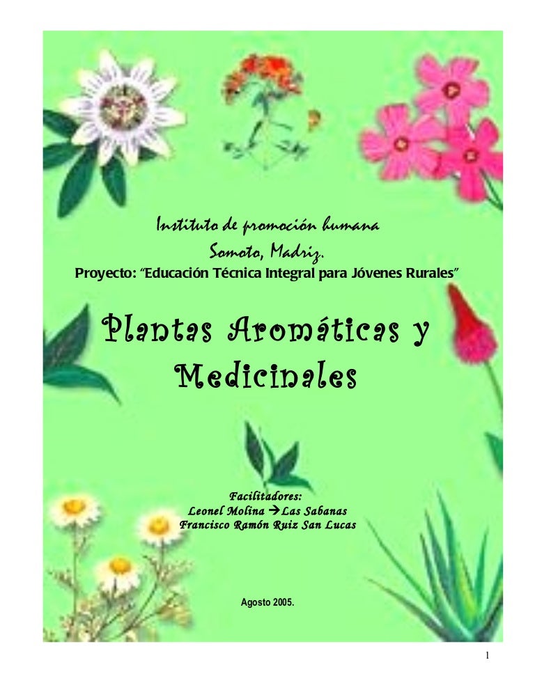 Plantas Medicinales