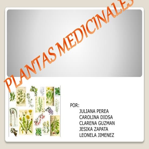 Plantas medicinales